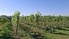 Weinreise mit der Sächsischen Gebietsweinkönigin